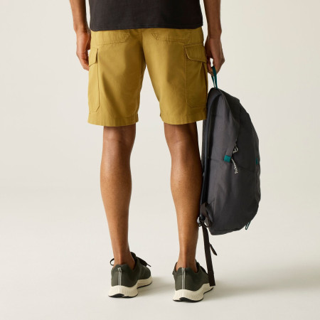 Herrenshorts Regatta Ruwan Shorts