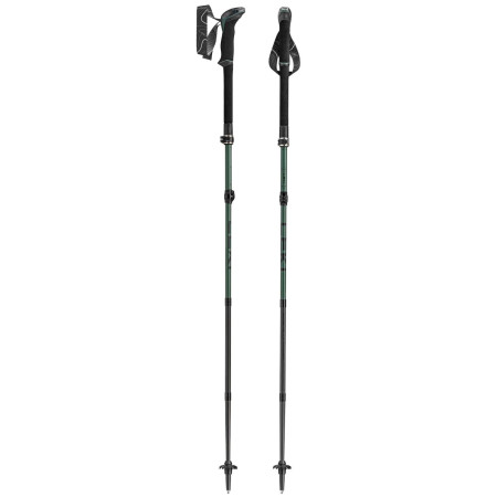Trekkingstöcke Leki Makalu FX Carbon