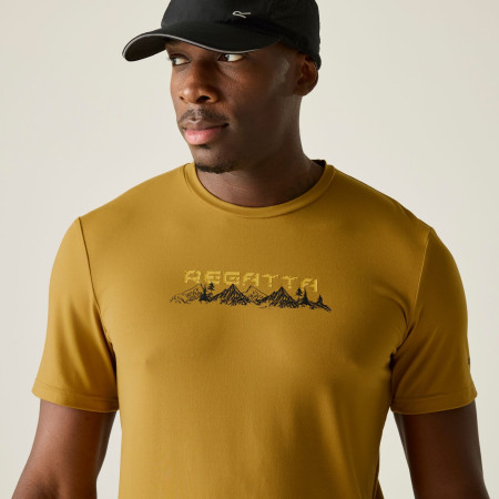 Herren-T-Shirt Regatta Fingal Stretch