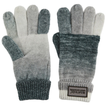 Handschuhe Regatta Frosty Glove
