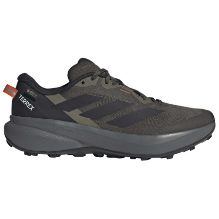 Herrenschuhe Adidas Terrex Tracefinder Plus Gtx grün Shaoli/Cblack/Olistr