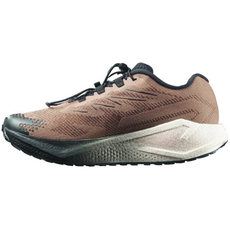 Herrenschuhe Salomon Aero Blaze 4 Grvl