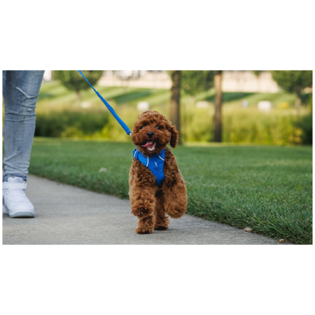 Hundeleine Ruffwear Front Range™ Leash