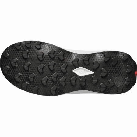 Herrenschuhe Salomon Ultra Flow 2