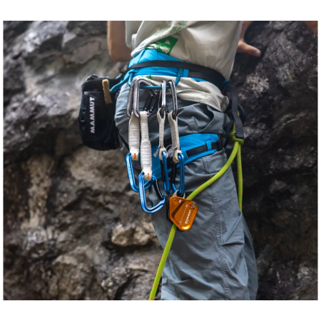Bremse Mammut Assist Belay Resistor