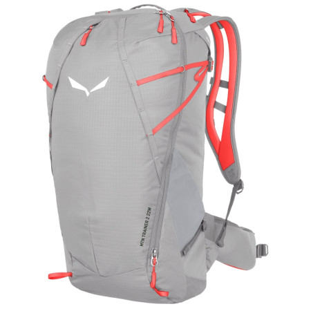 Damenrucksack Salewa Mtn Trainer 2 22 W grau Alloy
