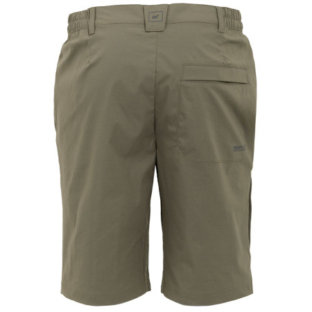 Herrenshorts Regatta Highton Shorts Long II