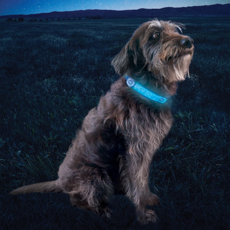 Leuchtendes Hundehalsband Nite Ize NiteDog® Rechargeable LED Collar Cover