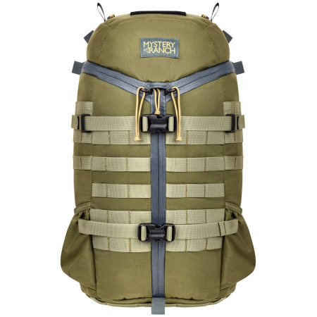 Urban-Rucksack Mystery Ranch 2 Day Assault grün ponderosa