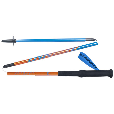 Stöcke Dynafit Vertical Pole