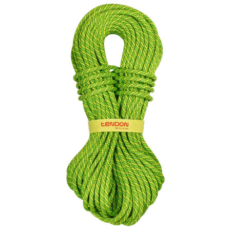 Kletterseil Tendon Ambition 9,8 mm (50 m) CS grün Green