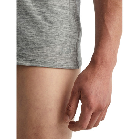 Herren-T-Shirt Icebreaker M Anatomica SS Crewe