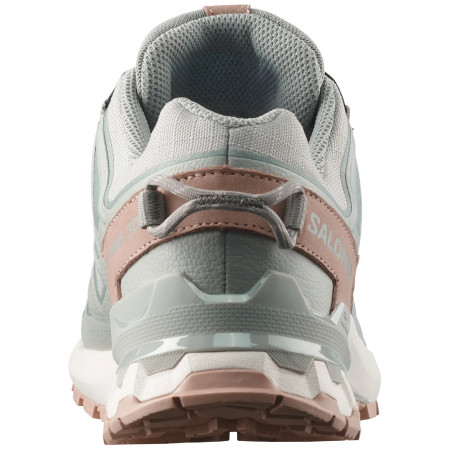Damenschuhe Salomon Xa Pro 3D V9 Gore-Tex Lifelong
