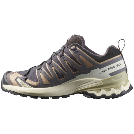 Damen Wanderschuhe Salomon Xa Pro 3D V9 Gore-Tex