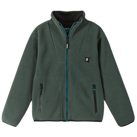 Kinder-Sweatshirt Reima Turkki grün Thyme Green
