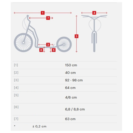 Roller Yedoo Mula Y40