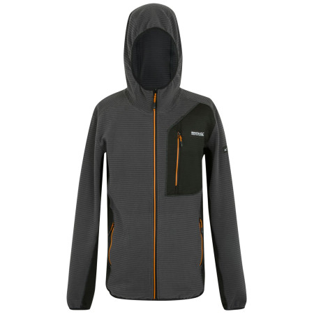 Herren-Sweatshirt Regatta Lakewright grau Ash/Black