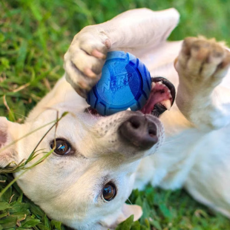 Hundespielzeug Nerf Dog Set Lightning & Sonic