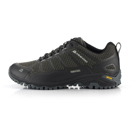 Herrenschuhe Alpine Pro Musswe