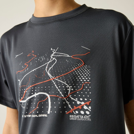 Kinder-T-Shirt Regatta Alvarado Seal Grey