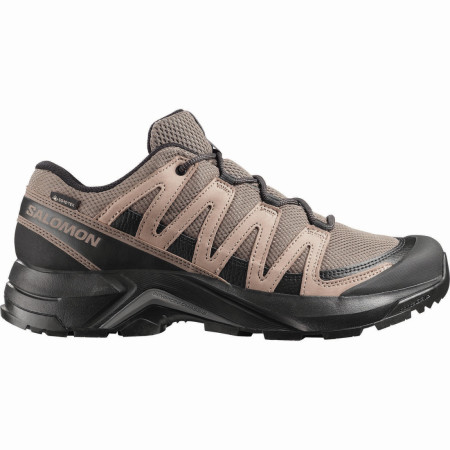 Wanderschuhe Salomon X-Adventure Recon Gore Tex