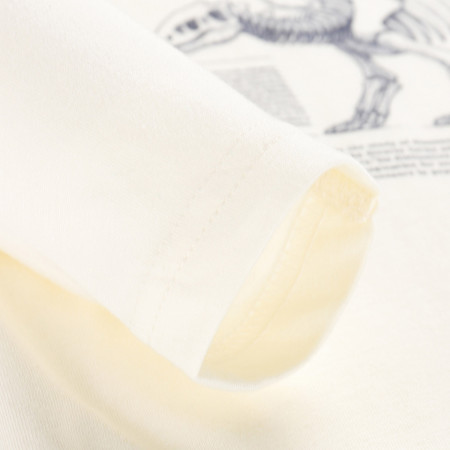 Kinder-T-Shirt Alpine Pro Ecco 2