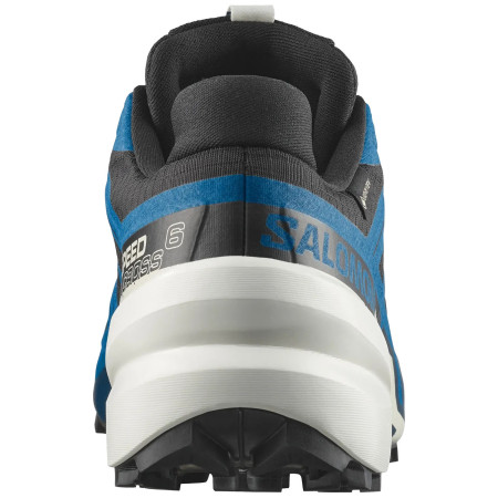 Herren Laufschuhe Salomon Speedcross 6 Gore-Tex