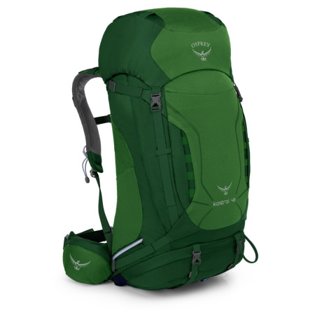 Rucksack Osprey Kestrel 48 2022 grün JungleGreen