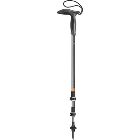 Trekkinstock Leki Wanderfreund Makalu schwarz gunmetal-dark anthracite-copper