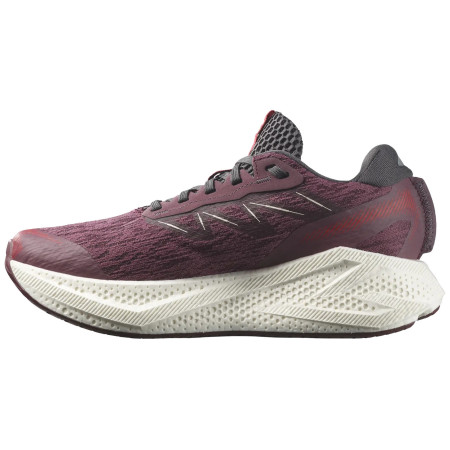 Damen Laufschuhe Salomon Aero Glide 4