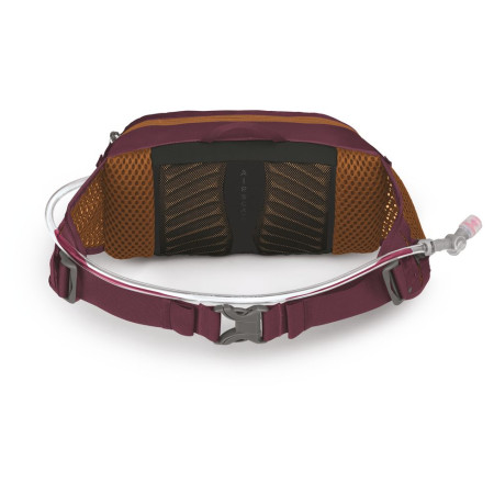 Hüfttasche Osprey Seral 4