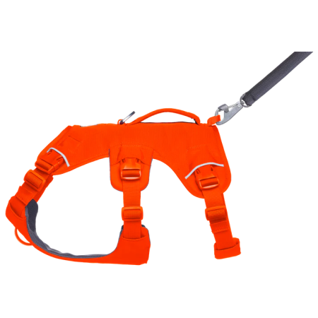 Hundegeschirr Ruffwear Web Master™ Harness