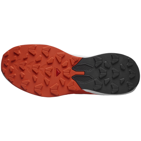 Herren Trekkingschuhe Salomon Pulsar