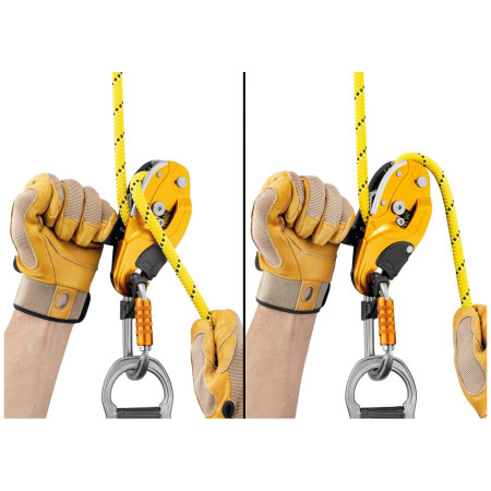 Bremse Petzl Rig