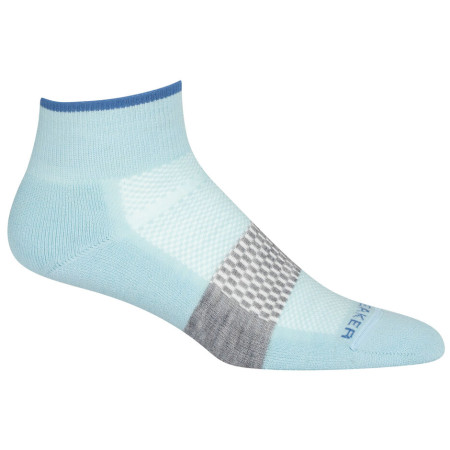 Damensocken Icebreaker Women Multisport Light Mini blau haze/azul/metro hthr