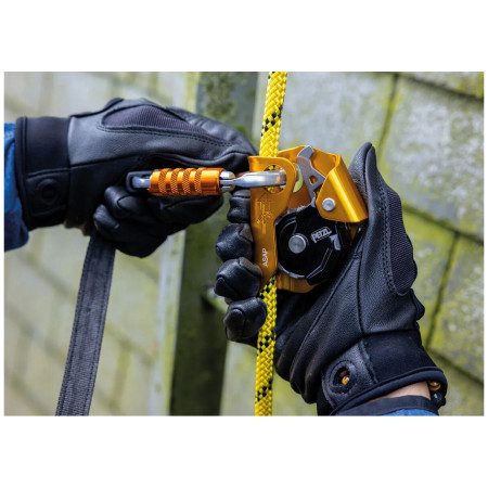 Auffanggerät Petzl Asap