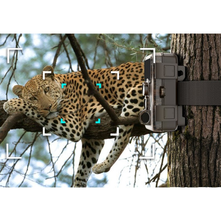 Wildkamera SJCAM M50