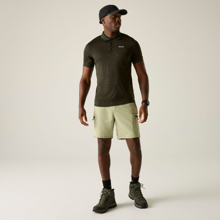 Herren-T-Shirt Regatta Remex II