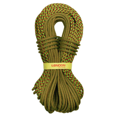 Kletterseil Tendon Master 9,7 mm (80 m) STD Bic grün/rot Green/Red