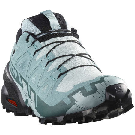 Damenschuhe Salomon Speedcross 6 Gore-Tex