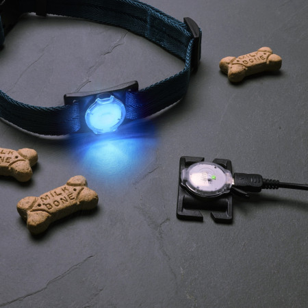 Hundelicht Nite Ize NiteDog™ Rechargeable Pet Light