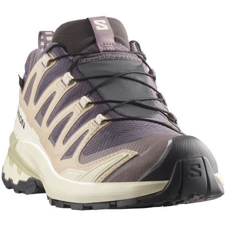 Damen Wanderschuhe Salomon Xa Pro 3D V9 Gore-Tex