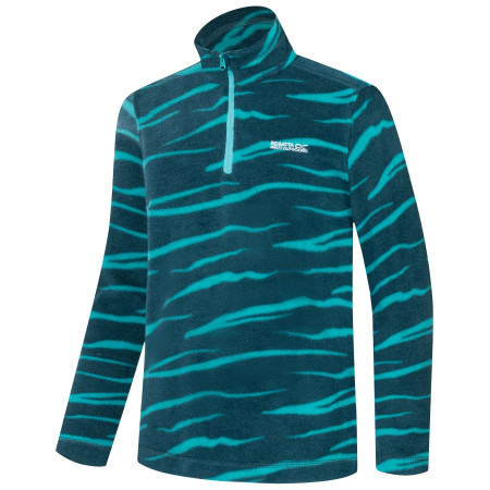 Kinder-Sweatshirt Regatta Hot Shot II MeditZebra