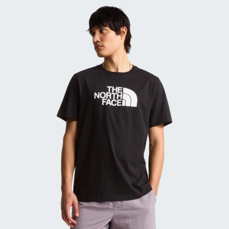 Herren-T-Shirt The North Face Evolution Half Dome Regular Short Slee