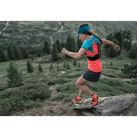 Socken Dynafit Alpine Short Sk