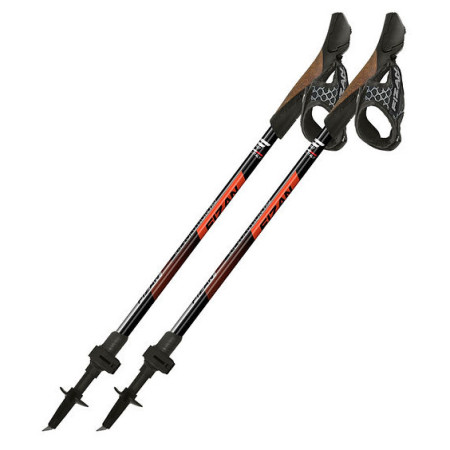Nordic Walking Stöcke Fizan R-Evolution Pro