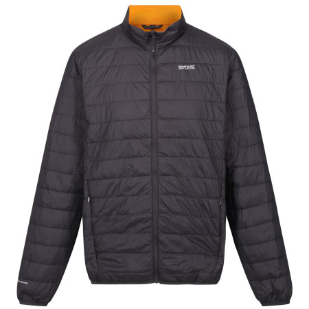 Herrenjacke Regatta Hillpack grau Ash(Orange Pepper)