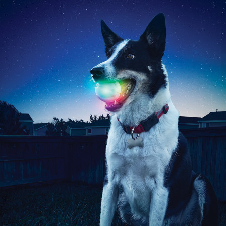 Hundespielzeug Nite Ize Glowstreak LED Ball
