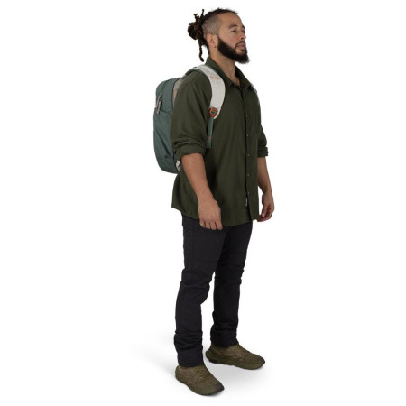 Urban-Rucksack Osprey Arcane Earth Large Day