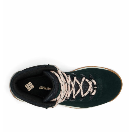 Damen Trekkingschuhe Columbia Newton Ridge™ Plus Waterproof Amped